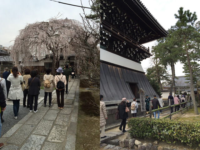近隣邸「糸桜」と隠れた社寺を訪ねて