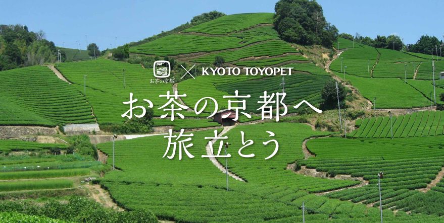 京都トヨペット　宇治茶　日本茶飲み比べ　お茶の京都