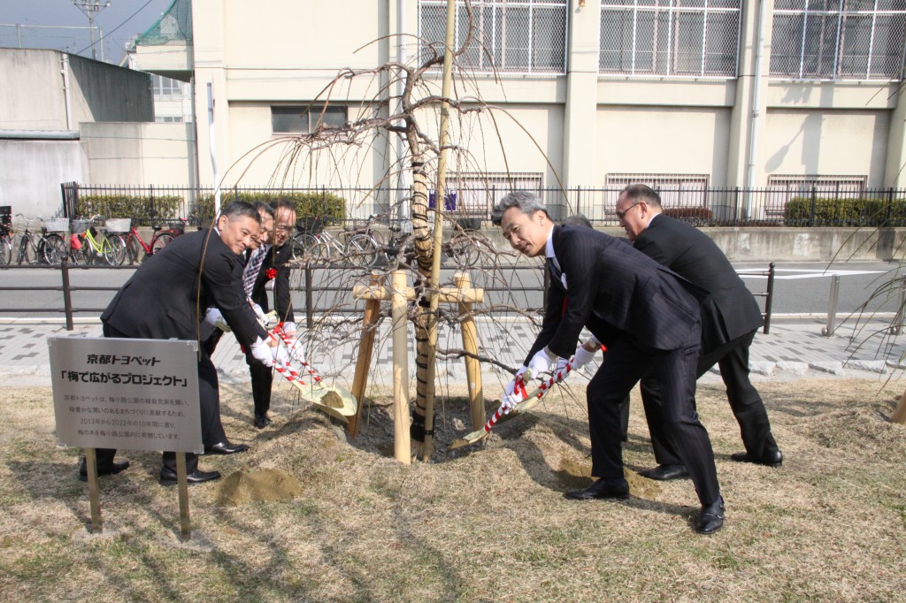 京都トヨペットでは地域社会貢献活動の一環として京都市に１０年間にわたり梅の苗木の寄贈を行っていｊます。