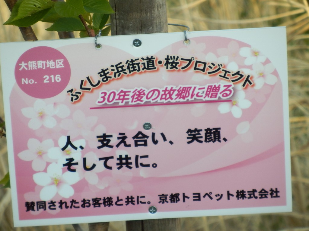 ふくしま浜街道・桜プロジェクト、桜の苗木に応援メッセージを掲出