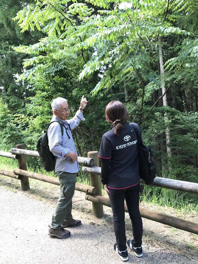森のプロから様々なことを学びます｜京都トヨペット　夏休み森のMIRAI教室