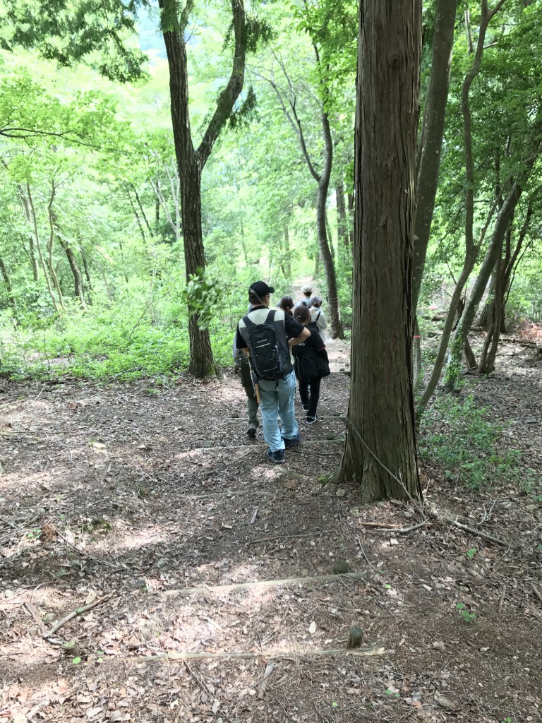森の散策をしてきました｜京都トヨペット　夏休み森のMIRAI教室