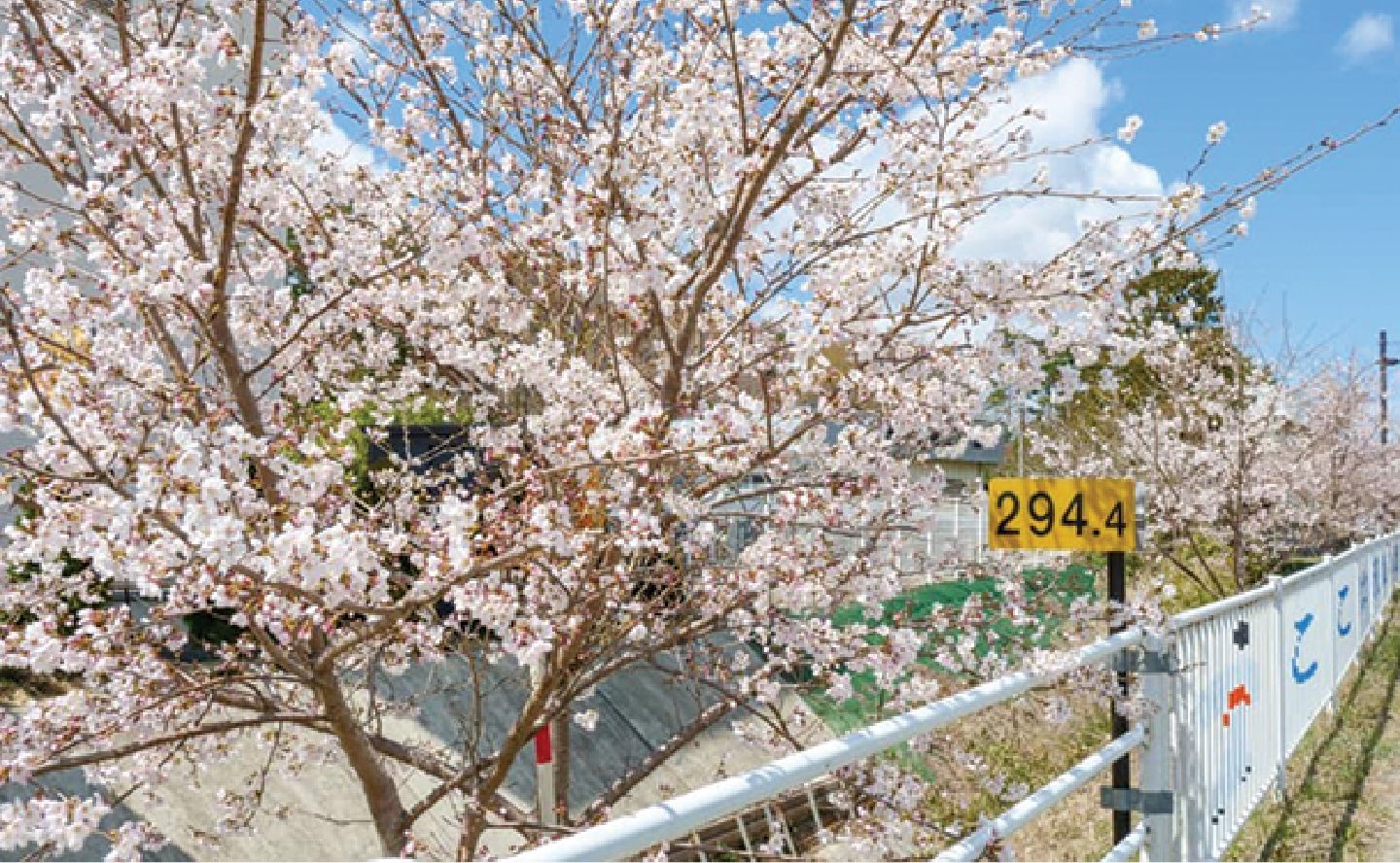 「ふくしま浜街道・桜プロジェクト」への協賛