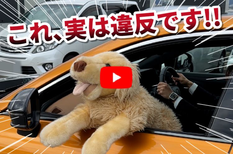 【前編】捕まってからでは遅い！交通ルール 9選
