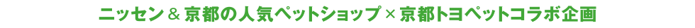 ニッセン&京都の人気ペットショップ×京都トヨペットコラボ企画