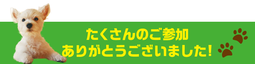 たくさんのご応募ありがとございました