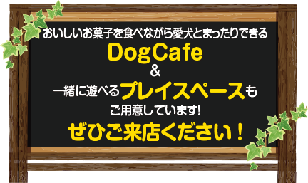 DogCafe＆一緒に遊べるプレイスペースもご用意しています