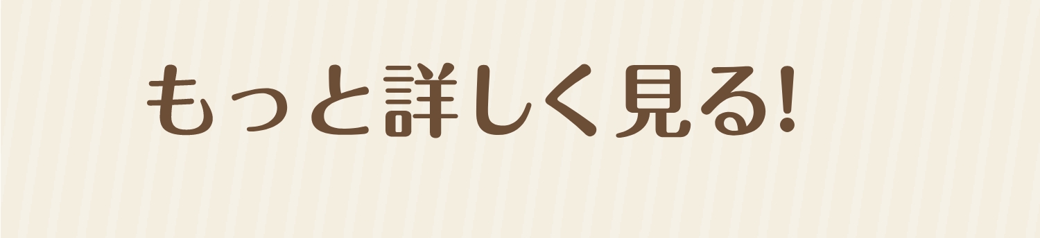 もっと詳しく見る!