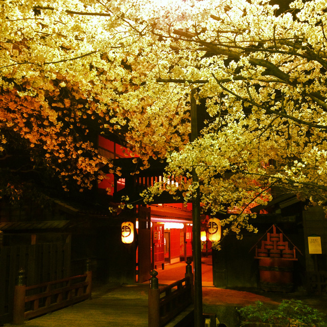 大夜桜鑑賞会 in 東映太秦映画村